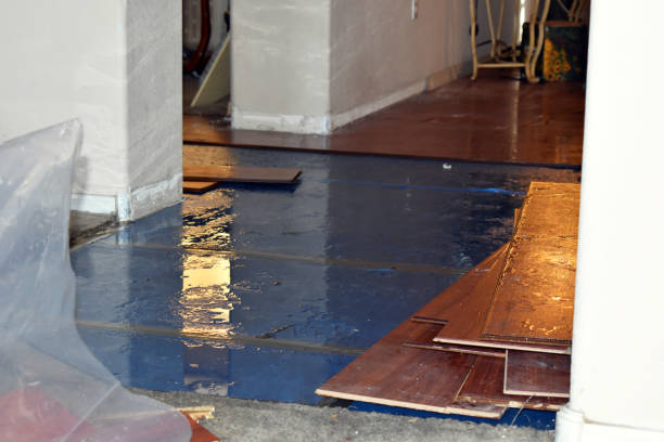 Professional Water Extraction technician working in Caddo, TX